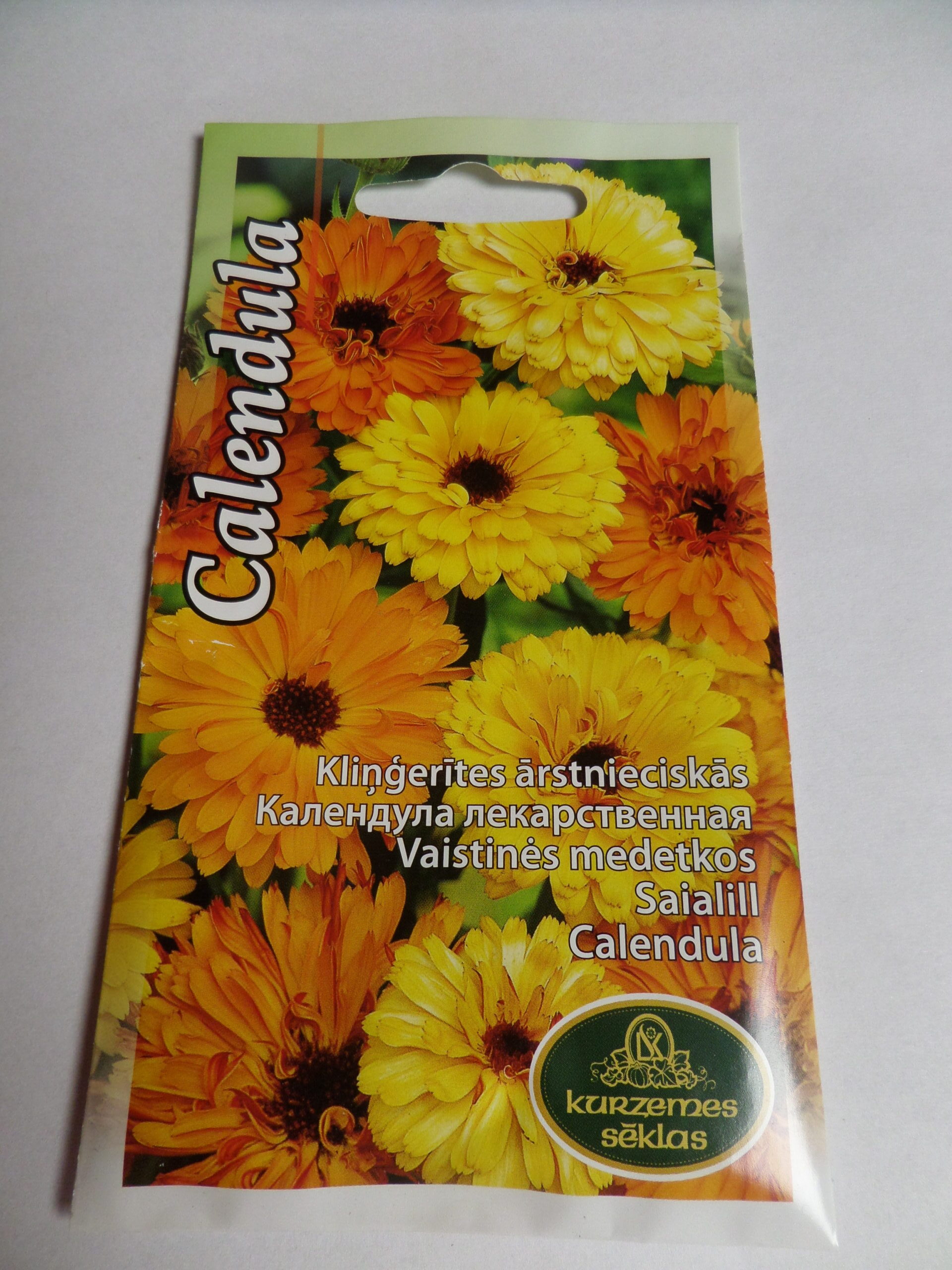 Harilik saialill Calendula