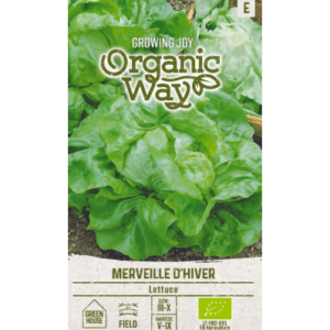 Salat Merveille D´Hiver