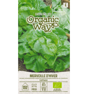 Salat Merveille D´Hiver