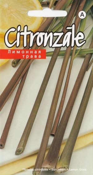 Sidrunhein
