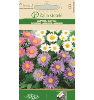 Alpi aster segu