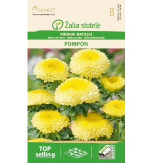 Hiina aster "Pompon" kollane