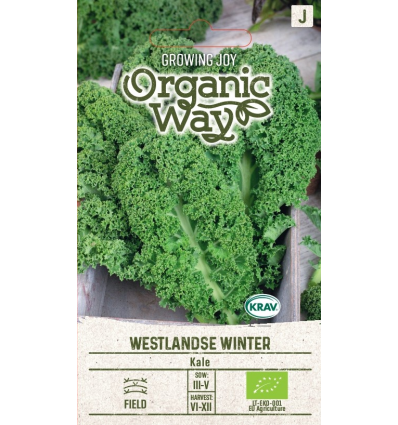 Kale, lehtkapsas Westlandse Winter