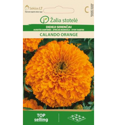 Peiulill (tagetes) Calando Orange