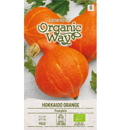 Kõrvits "Hokkaido Orange" mahe