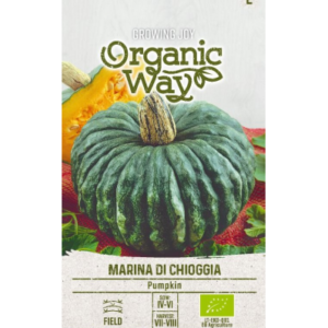 Kõrvits Marina Di Chioggia