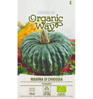 Kõrvits Marina Di Chioggia