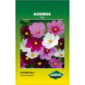 Kosmos Vega madal