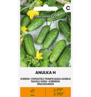 Kurk Anulka H