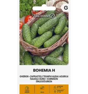 Kurk Bohemia H