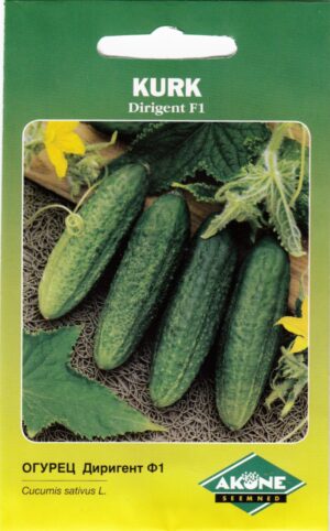 Kurk Dirigent F1