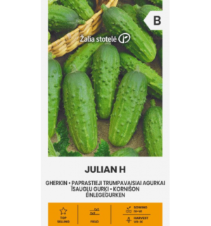 Kurk Julian H