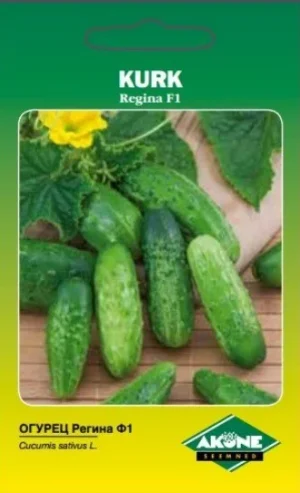 Kurk Regina F1*5