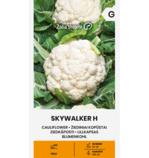 Lillkapsas Skywalker H