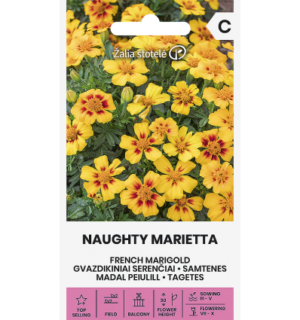 madal-peiulill-tagetes-naughty-marietta