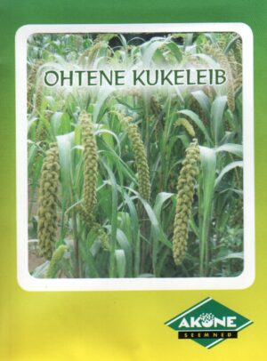 Ohtene kukeleib*6