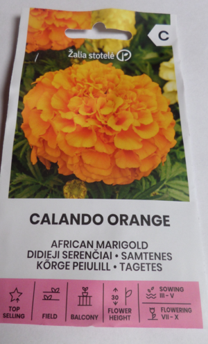 peiulill calando orange