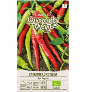 Terav pipar Cayenne Long Slim