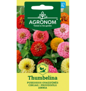 Pruudisõlg Thumbelina