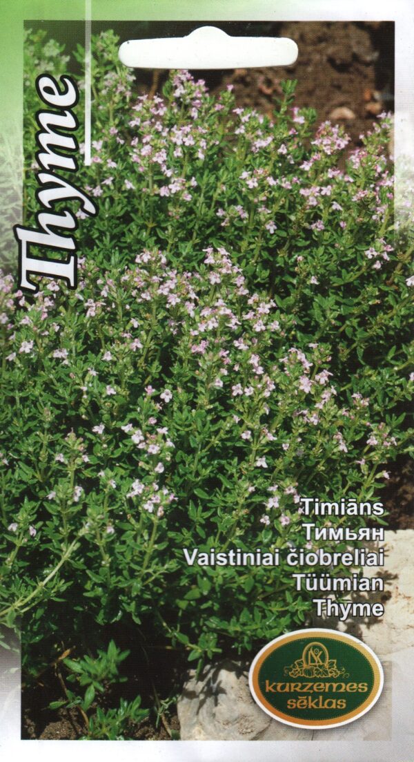 Aed-liivatee ehk tüümian Thyme