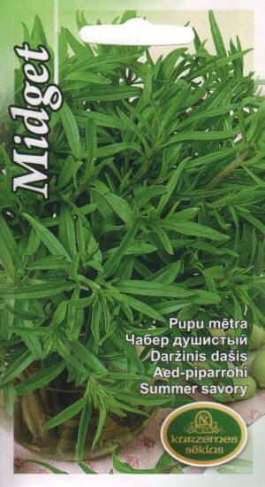 Aed-piprarohi Midget