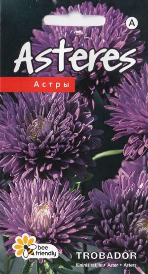 Aster Trobador