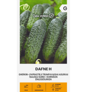 Avamaakurk Dafne F1
