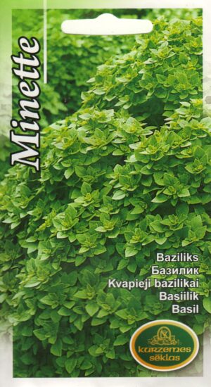 Basiilik Minette