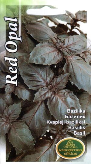 Basiilik "Red Opal"