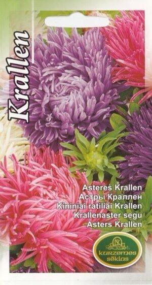 Krallenaster segu