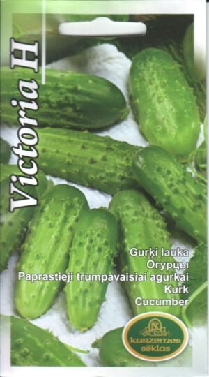 Avamaakurk Victoria H