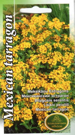 läikiv peiulill mehhiko estragon