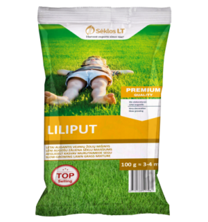 Muruseeme Liliput