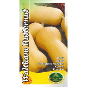 Muskuskõrvits Waltham Butternut