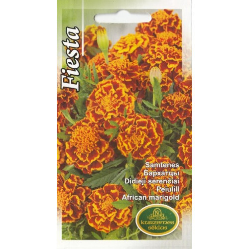 Peiulill tagetes Fiesta