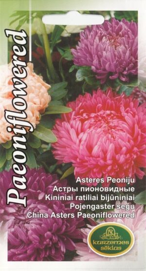 Pojengaster Paeoniflowered segu