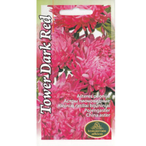 Pojengaster Tower Dark Red