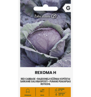 Punane peakapsas Rexoma F1