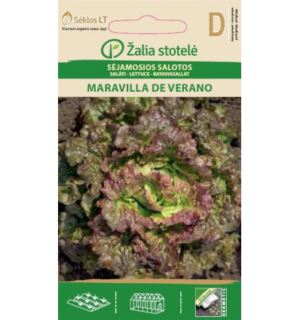 Aedsalat Maravilla De Verano
