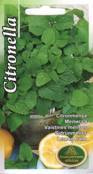 Sidrunmeliss ehk aedmeliss Citronella