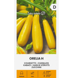Suvikõrvits Orelia H