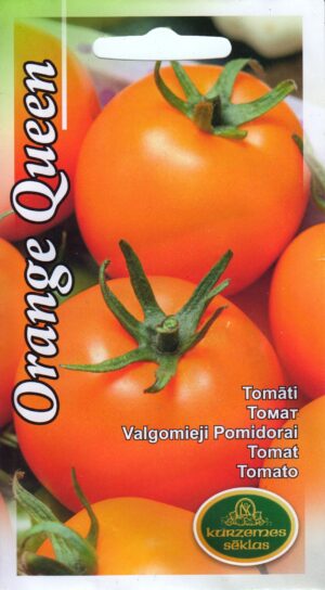 Tomat Orange Queen