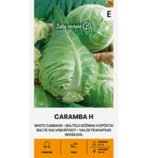 Valge peakapsas Caramba
