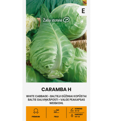 Valge peakapsas Caramba