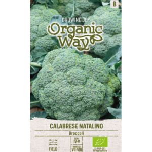Brokkoli Calabrese Natalino
