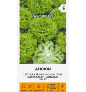 Jää ehk bataavia salat Aficion