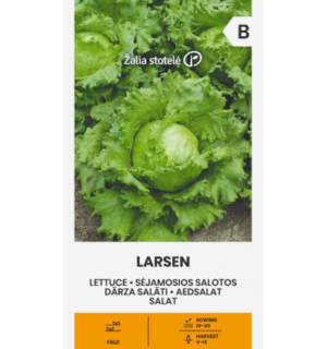 Jääsalat Larsen