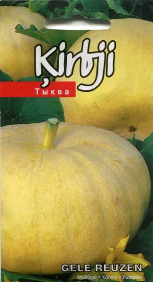 Kõrvits Gele Reuzen