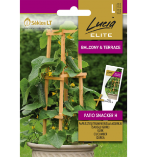 Kurk Patio Snacker F1