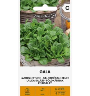 Põldkännak e. lambasalat Gala